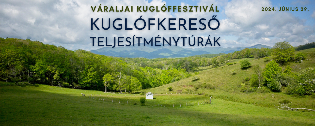 Kuglófkereső hétvége - Magyar Királyok Nyomában / Kuglófkereső 25 / Kuglófkereső 10 / Erzsi néni túrája 5