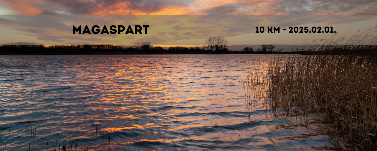 Magaspart - 10