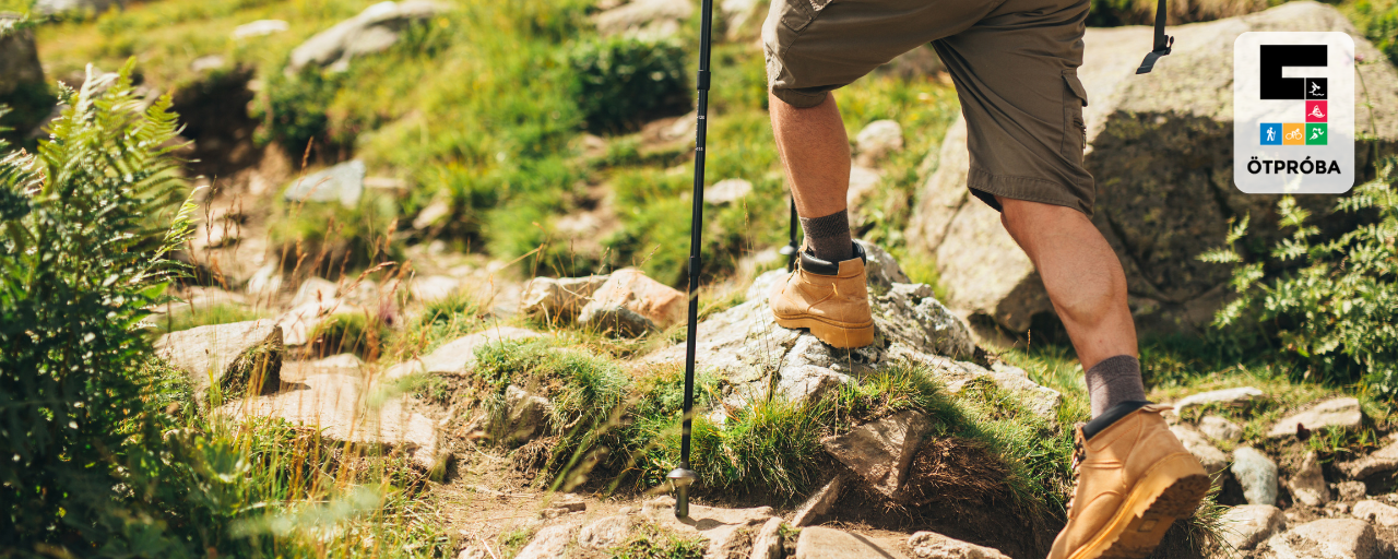 Vadrózsa (csak előnevezéssel) - 160 / 50 / 30 / 20 / 10