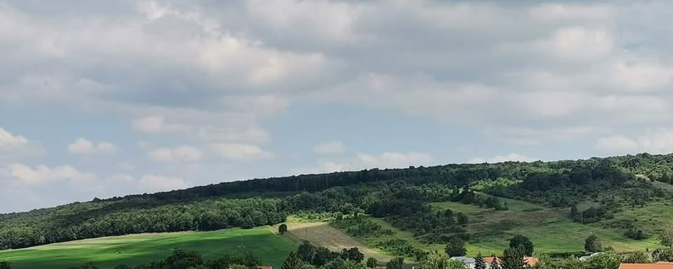 V. RossbRUNn Trail 2025