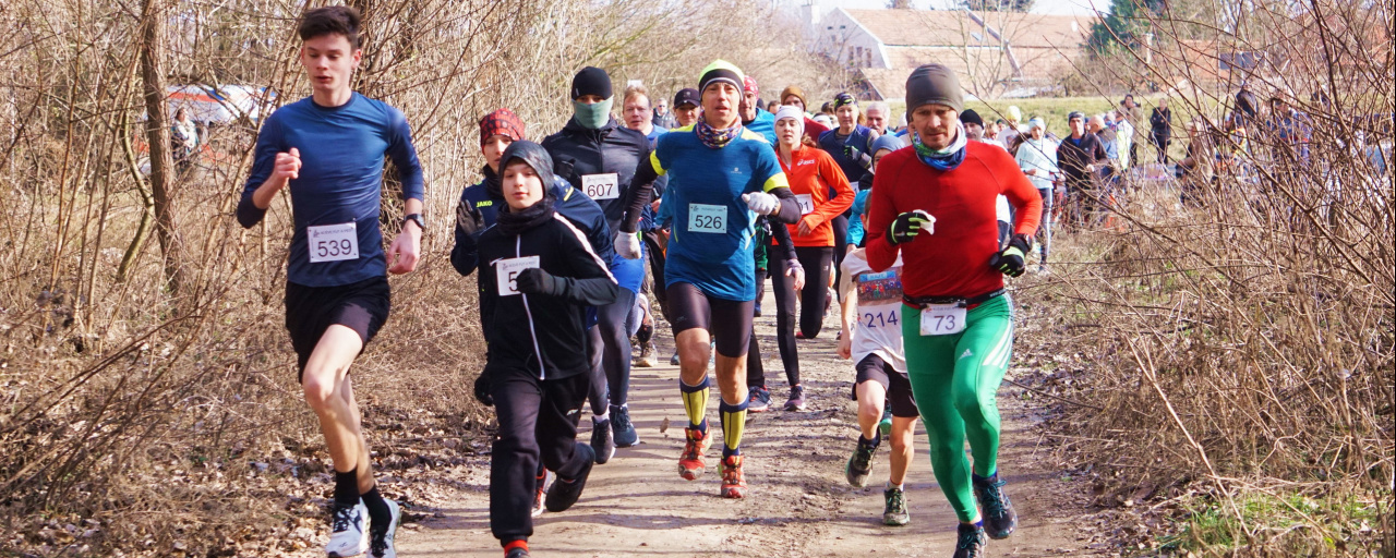 Futapest - Szigetújfalu, 2026