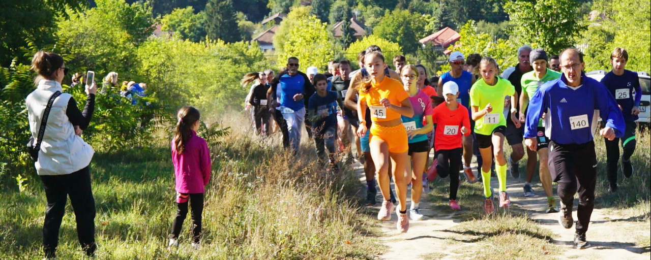 Futapest - Sülysáp, 2026