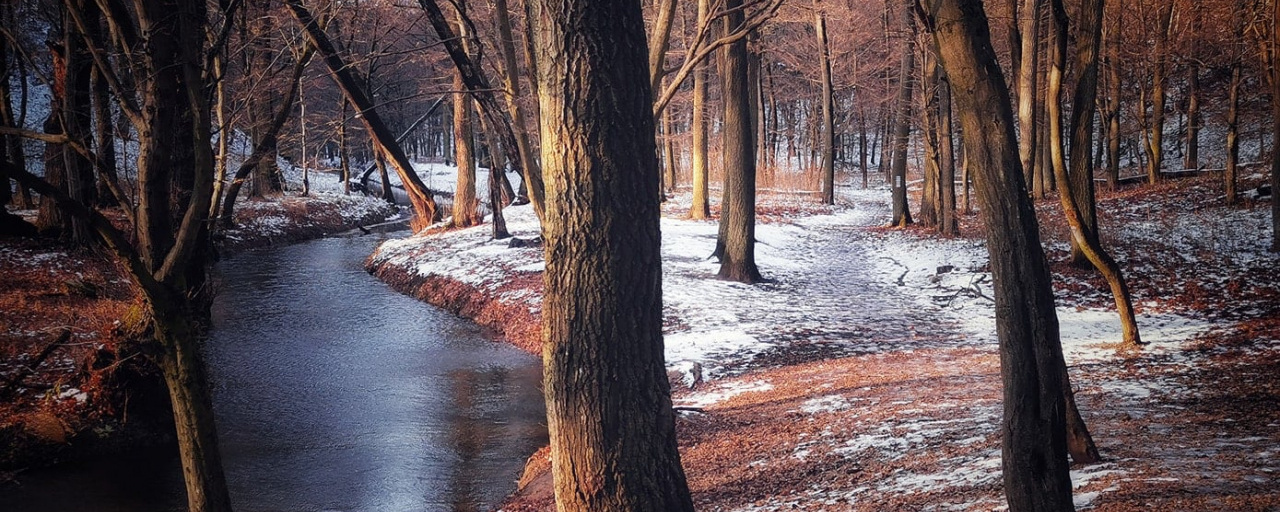 Gaja-völgyi Mikulás  - Gaja-völgyi Mikulás 15 km / Gaja-völgyi Mikulás Séta