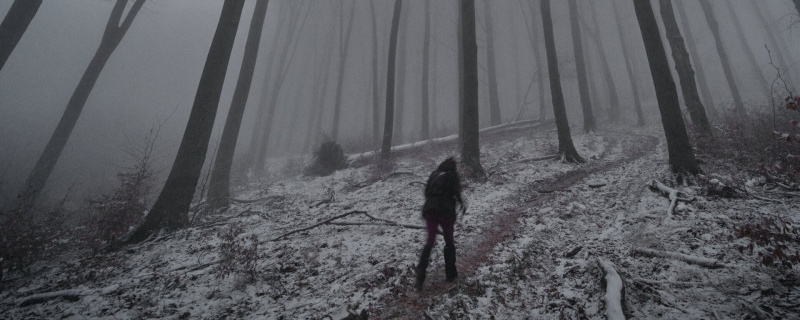 Börzsöny Vulkántúra - 2025  - Börzsöny Vulkántúra