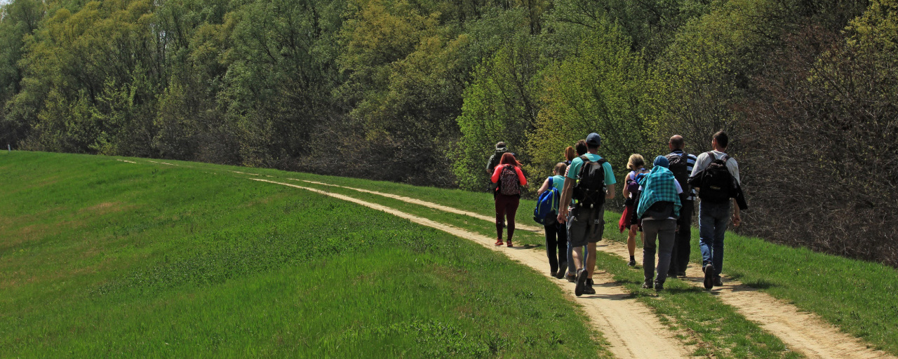 Kisalföldi Zarándoklat  - Szent Márton 20 / Szent Márton - Szent Jakab 40