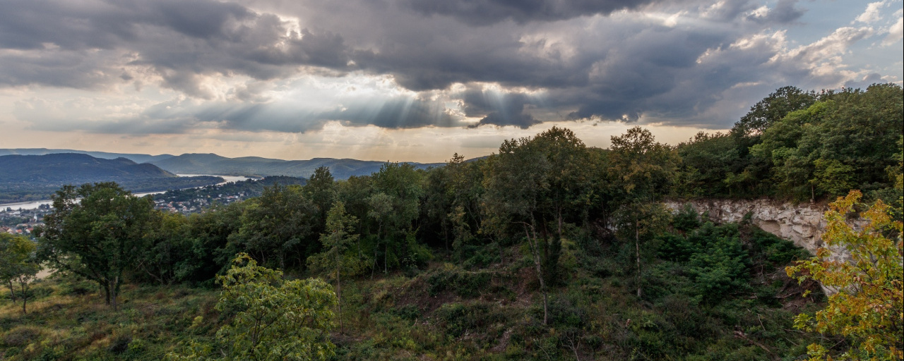 Töhötöm Vezér  - 42 / 21 / 7