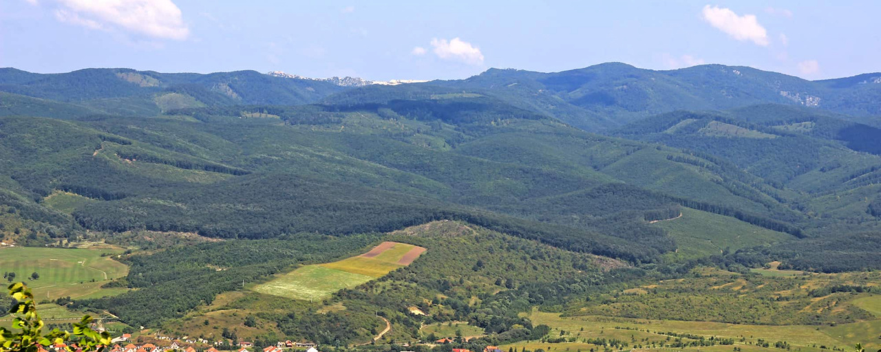 Mákos Bejgli Gyalogos Túra  - 20 / 10 / 6