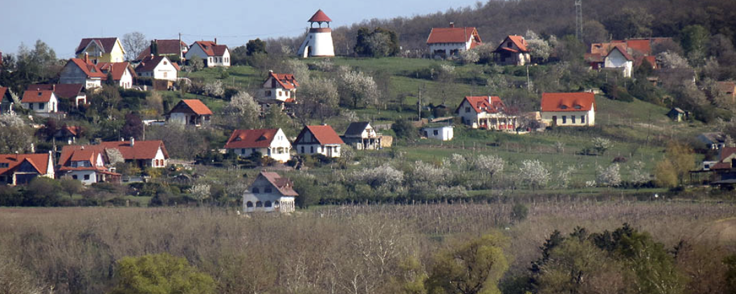 Balatoni Szilveszter - 17