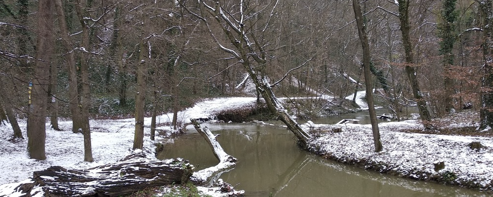 Tor-Túra a Gaja-völgyben  - 12 km (vezetett)