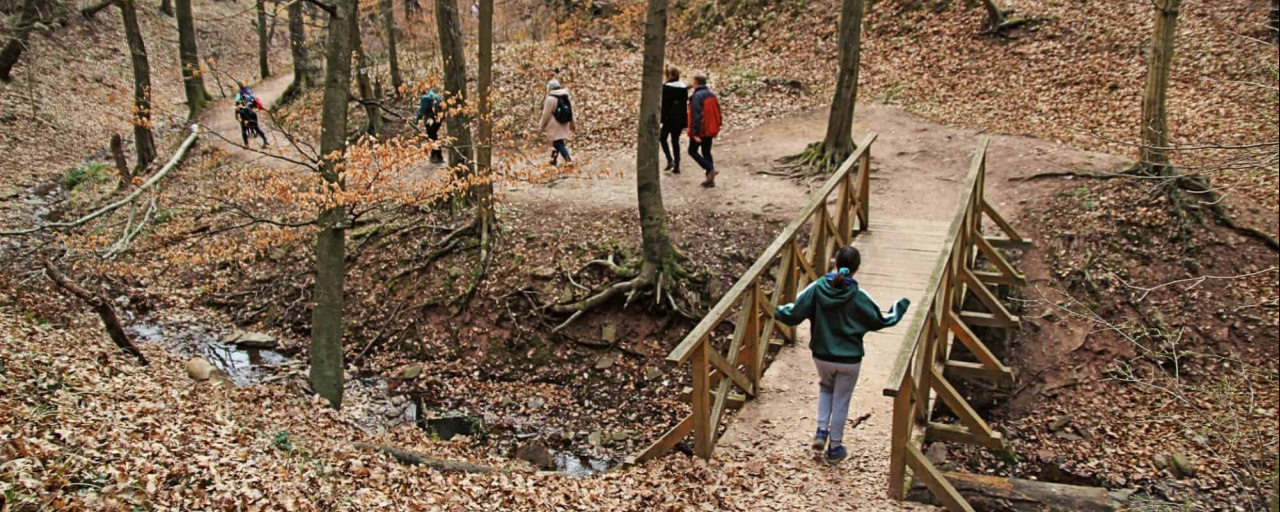 Télies Mecsek - 35 / 16 / Hó-PITE