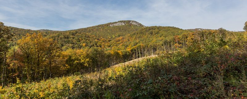 8. Tárkányi Hegyifutó Verseny