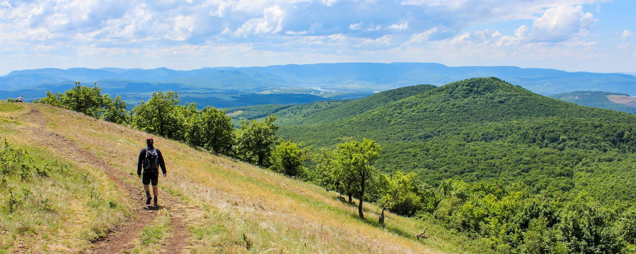 A Börzsönyi Csapás Teljesítménytúra - 16 / 27 / 36