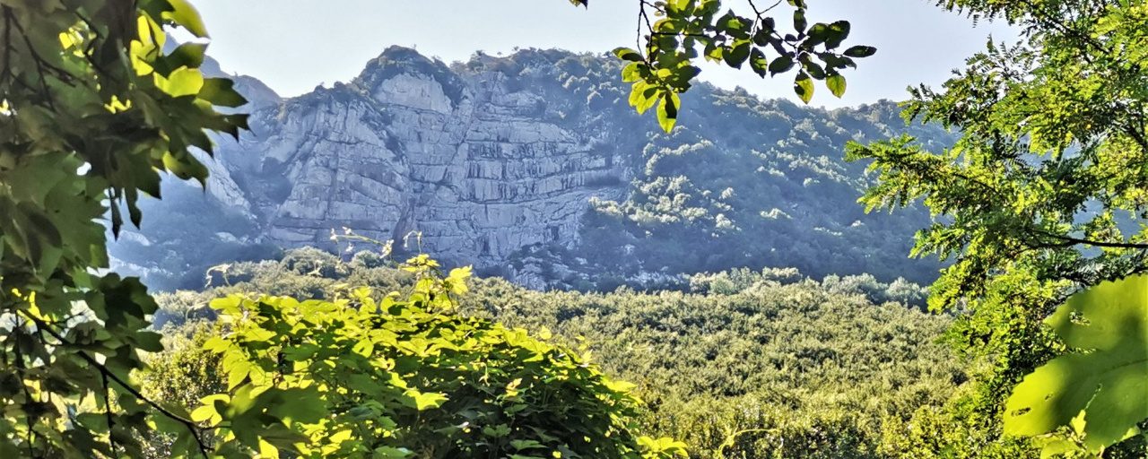 Bükki Vándor - Didergő-Tekergő Bélapátfalva - 15 km / 25 km / 15 futó / 25 futó