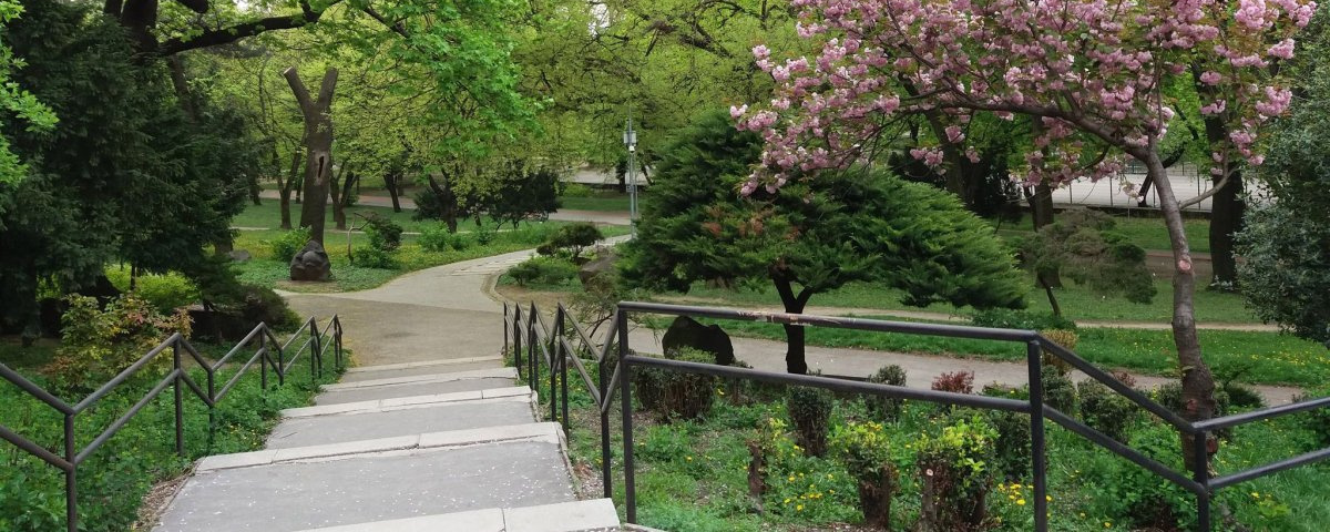 Szabó Dezső emléktúra  - 15