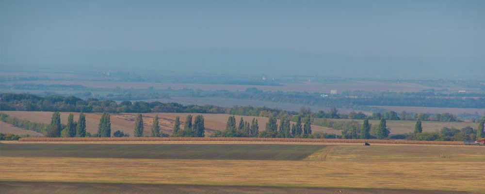 Tavaszváró Gyalogtúra a Nyakason