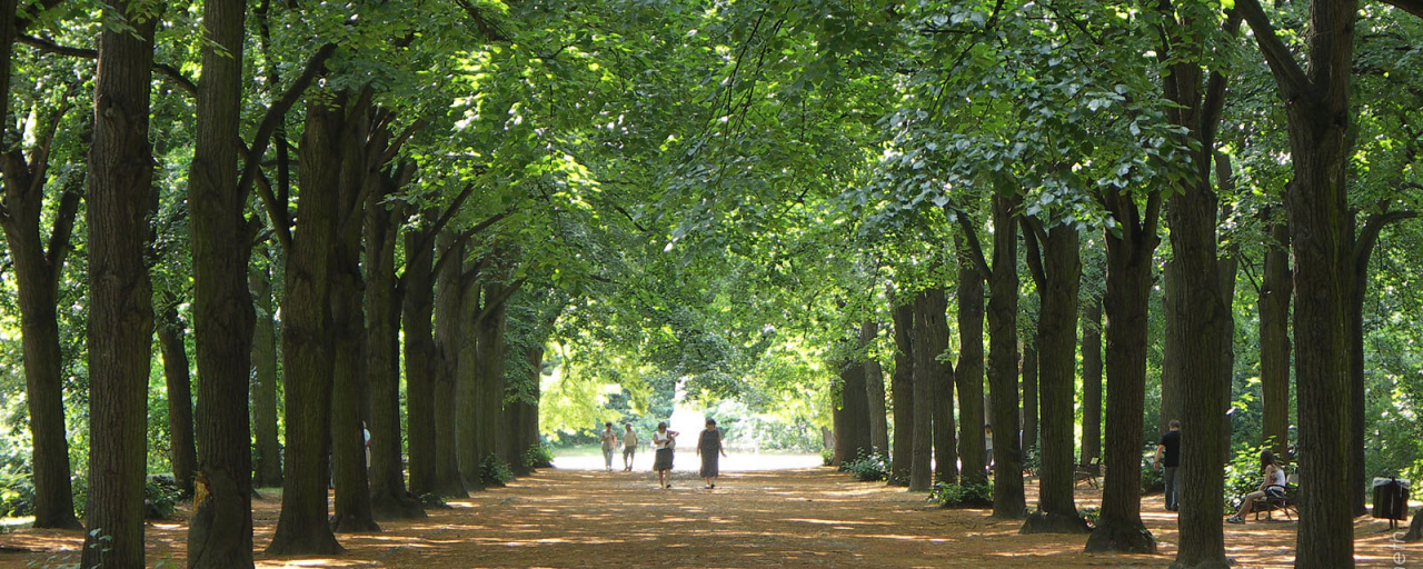 6. EDURACE Családi Terepfutó Nap