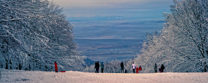 TÉLI MÁTRA Teljesítménytúra 2026  - XL / L / M / S / XS
