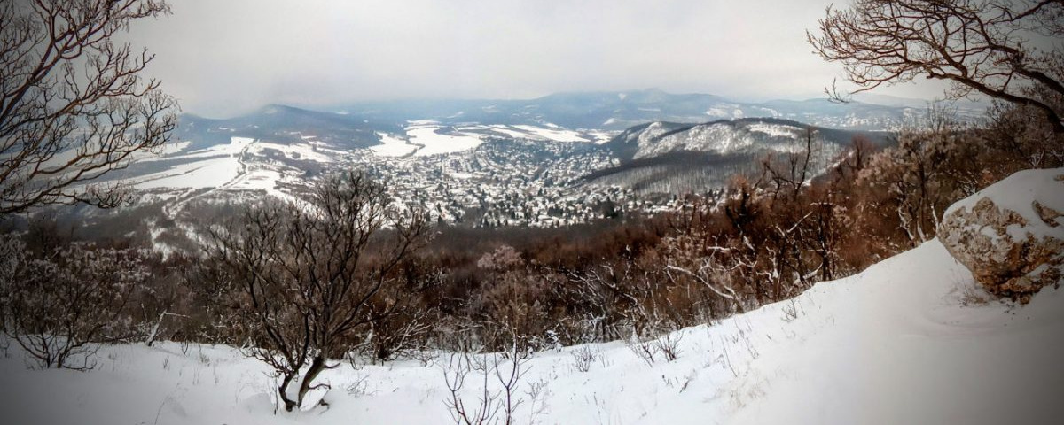 Pilisborosjenői Kevély Körözés - 7km, 14km, 21km, 28km, 35km, 42km, 49km, 56km, 63km, 70km, 77km, 84km, ...