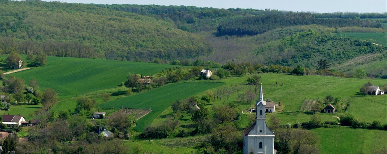 V. Tolnai Zöldút Teljesítménytúra
