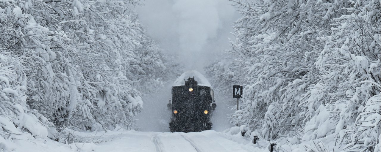 Farsangi Őrjárat  - 19 / 12 / 6