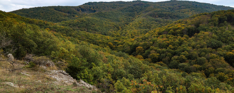 Kőről kőre a Börzsönyben  - 25 / 40