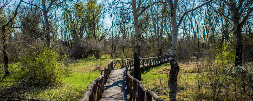 Felvidéki Szent Jakab Zarándokút XVI. - 20