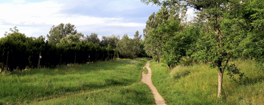 Farkas-erdő kívül-belül - 14 / 9