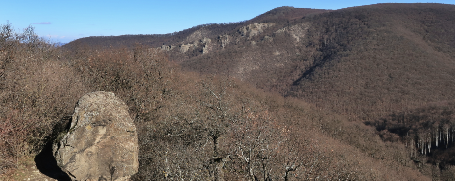 Pilisi Téli  - Maraton / Félmaraton / Maratonka