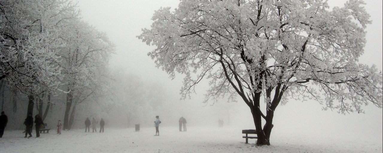 Zimankó  - 21 / 10 / 5