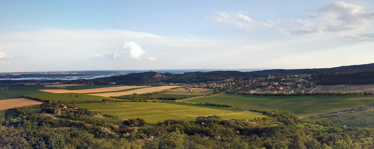 Fázos Toporgós 2026  - Fázós TOPorgós