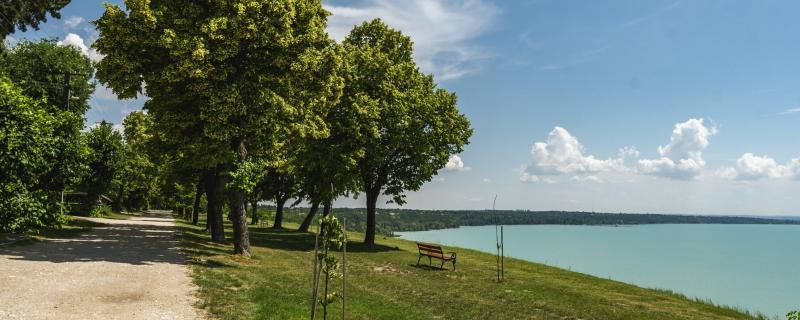 Margit-vonal emléktúra - 20