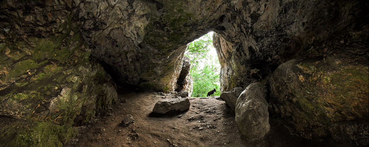 Budai Trapp  - Hosszú táv / Családi táv
