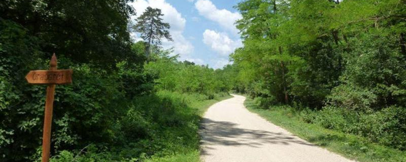 Téli Bakonyvasút  - Hosszútáv 22 / Rövid táv 13