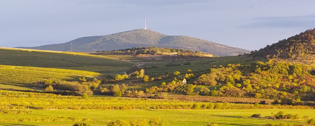 Disznótor-túra II.  - 16,3 km