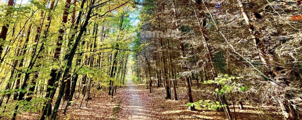 Sorrento / Kis-Kőfej  - Sorrento 21 / Kis-Kőfej 11 / Kis-Kőfej 4