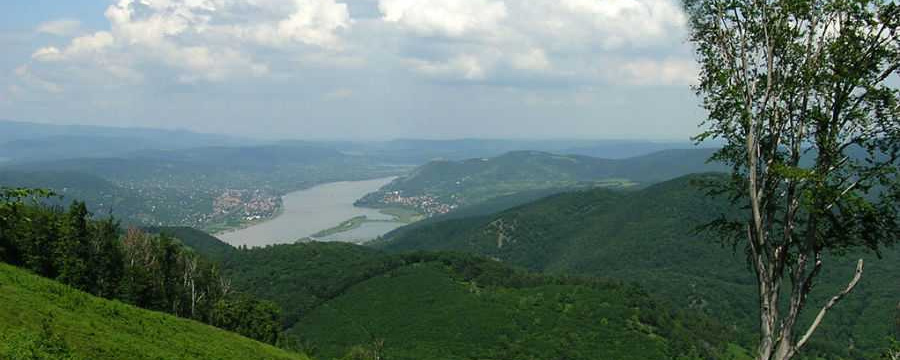 Pilisi Télvégi  - Maratonka / Félmaraton / Maraton