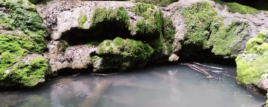 LeFaGySz Mecsek 2026 - Mecsek LeFaGySz 59 / Mecsek LeFaGySz 49