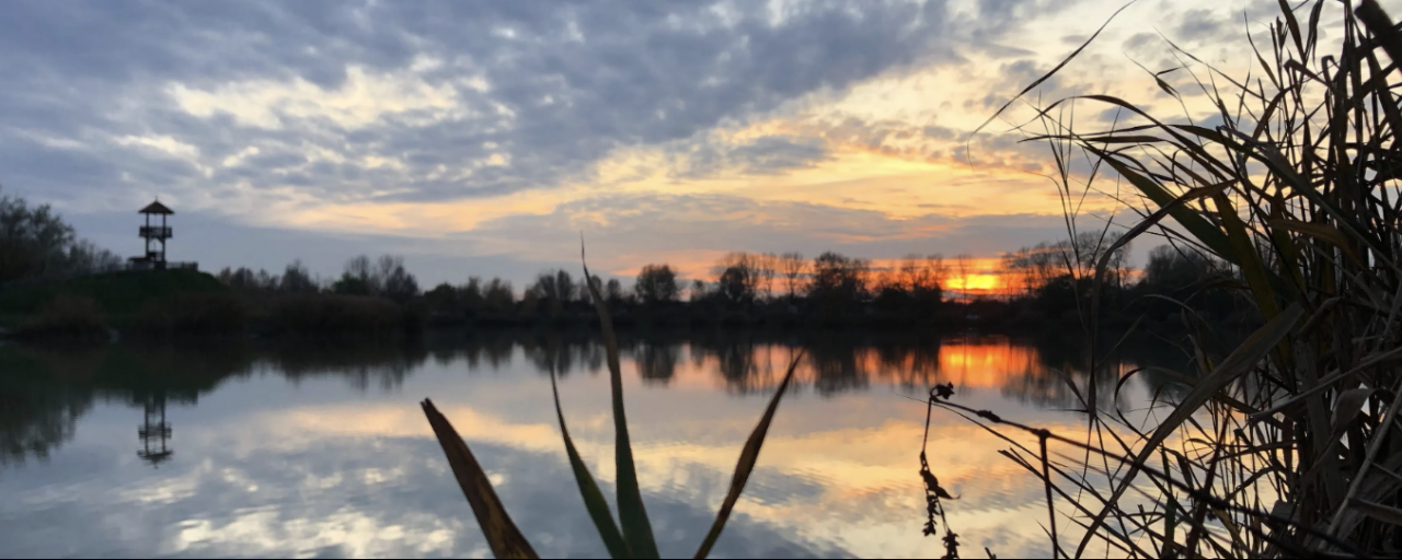 BRM200 - A java Solt 2026