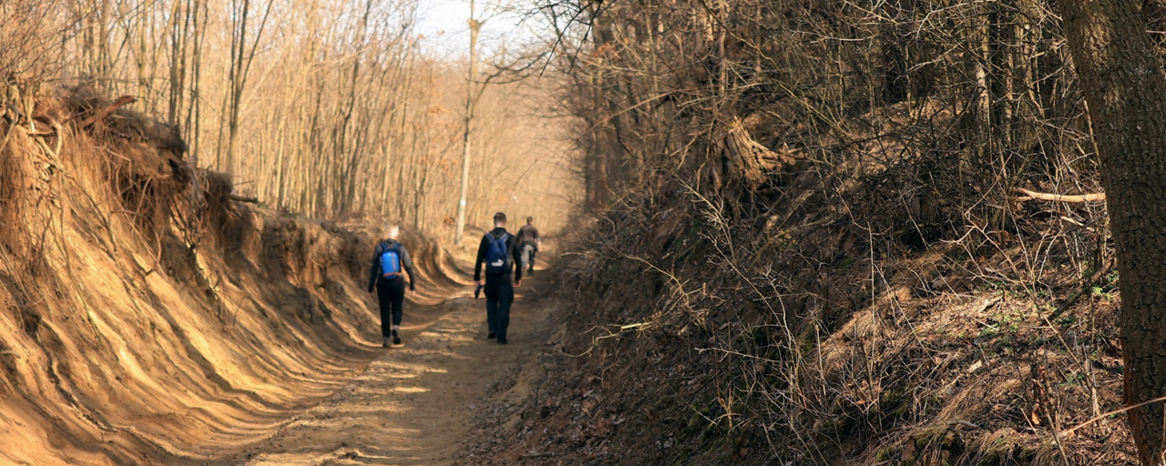 Gödöllő Világ Gyalogló Napi túra  - 30 / 20 / 12 / 6