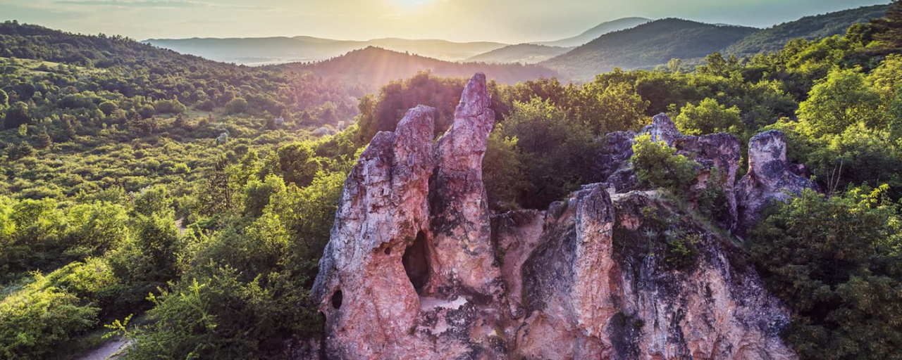 Pilisi Tavaszváró  - Maratonka / Félmaraton / Maraton