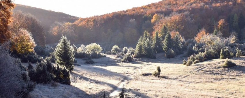 BÜKKIHŰLSZ! Túra  - Bükkihűlsz! 15 / Bükkihűlsz! 25 / Bükkihűlsz! 35