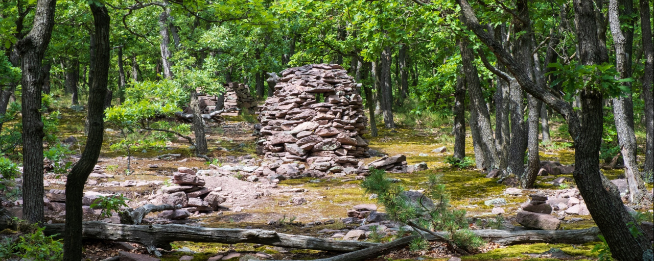 PITE  - 30 / 20 / 10