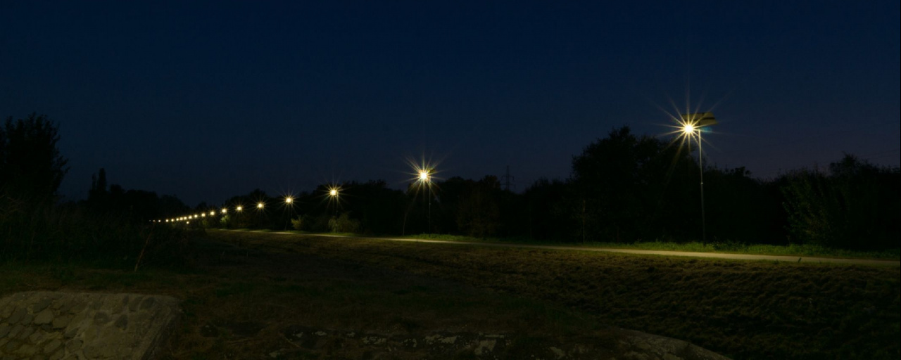 Farkas-erdő kívül-belül Éjjel  - 14 / 9