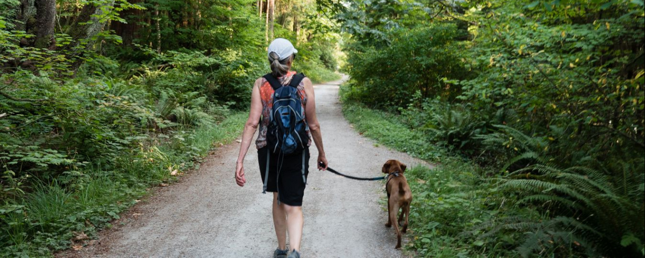 Azt a kutya mindenit  - 4