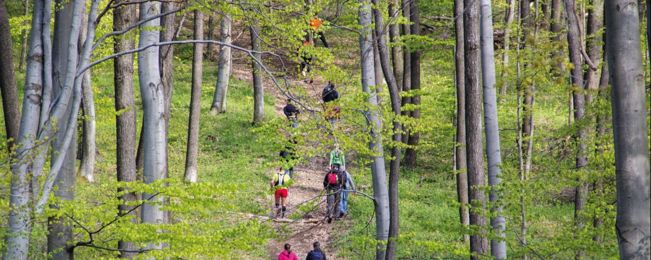 MÁTRABÉRC Teljesítménytúrák 2026  - Mátrabérc / Hanák Kolos / Muzsla / Koncsúr Kör