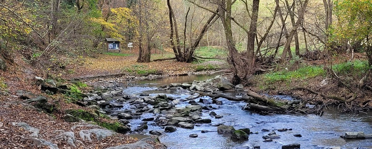 Pinka  - 10 / 20 / 40