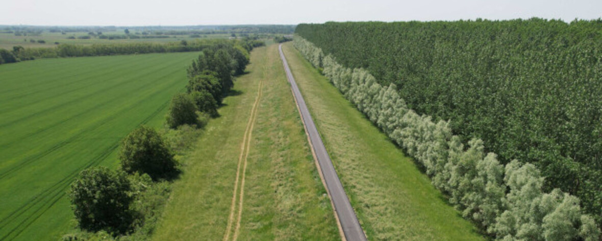 Mínusz 30  - gyalogos / terepfutó