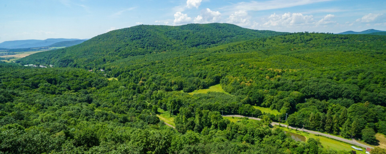 Álmos Vezér  - Maraton / Félmaraton / Maratonka