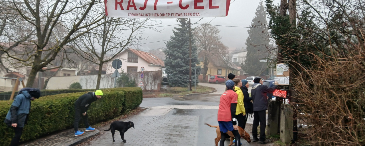 Törökbálinti Hendikep Futás