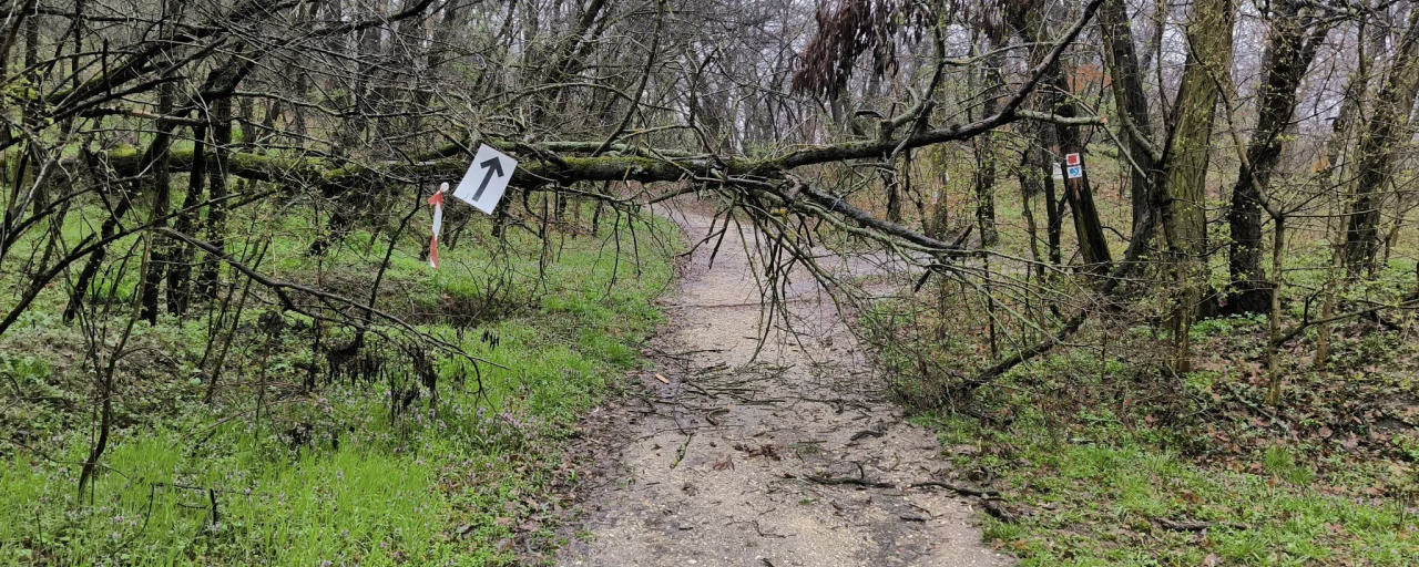 Törökbálinti Hendikep Futás